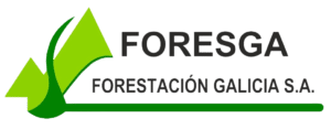 LOGO_Verde_Foresga-copia-300x127